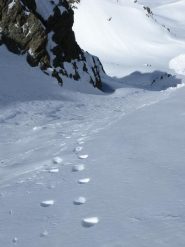 ginocchiate sulla crosta