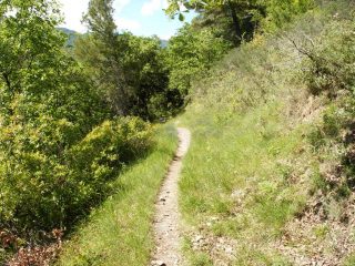tratto del Sentier Valleen