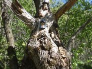 Le masche 'd Bourcet