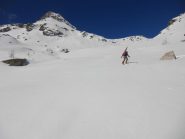 Sotto il Toasso Bianco