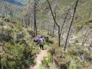 discesa lungo il sentiero F