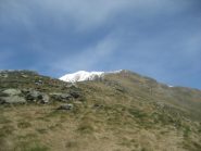 al cospetto della cima, in discesa, verso l'alpe Torriggia
