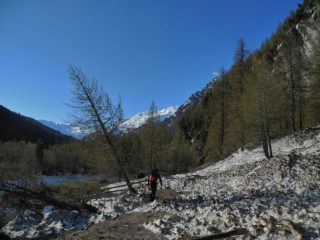 capiamo subito che sarà lunga..
