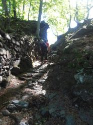 Avvicinamento nel bosco