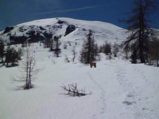 Pendii superiori