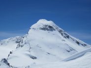 la Tsanteleina sebra in buone condizioni