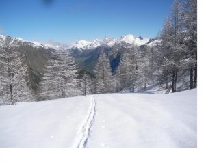 Sembra Natale..