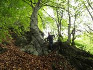 Franco e la maestosità della natura
