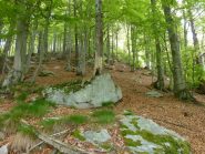 alla quota 1467m