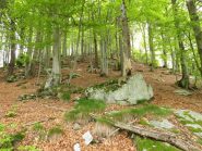 Salendo la magnifica dorsale da quota 1467