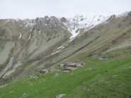 Tegge del Campo