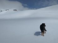 Pepe, quasi al colle