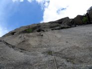 L5 - La placca di Papaveri e Papere...che bel tiro!