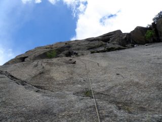 L5 - La placca di Papaveri e Papere...che bel tiro!