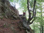 Salendo la bella mulattiera di Tiglietto