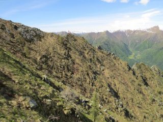 Il Monte Alto