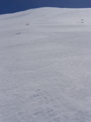 curve su una neve da favola
