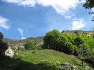 faggi sotto campallero q 1000 ca