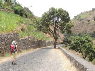 Un altro tratto di strada