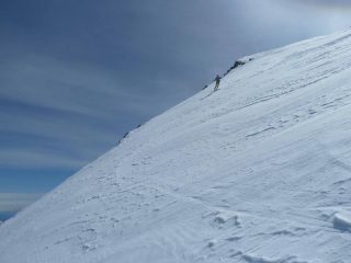 Prinme curve su neve ventata portante