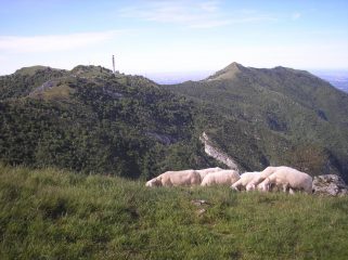 monte cornizzolo