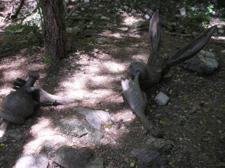 dall'alpe tre parte questo bellissimo sentiero con tante sculture in legno anche molto spiritose 