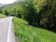 Mettere una Palina in legno a bordo strada come tutti i sentieri?