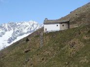 madonna del ciavanis