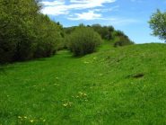 Al Passo Teglia