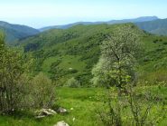 Il crinale verso l'Alpe di Baudo