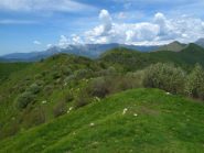 Crinale verso il Fenaira