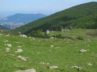 Alpe Palé