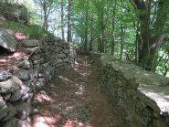 Un tratto di mulattiera al rientro