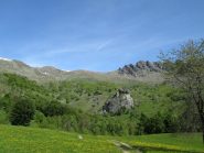 cartolina dai tornetti