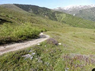 la bella sterrata di salita