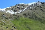 circondati dal verde