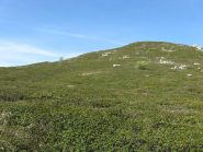 la zona di salita con i rododendri da evitare