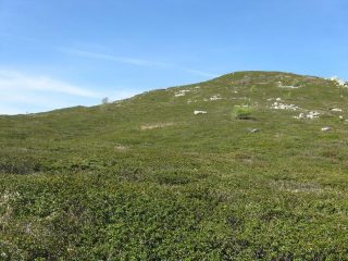 la zona di salita con i rododendri da evitare