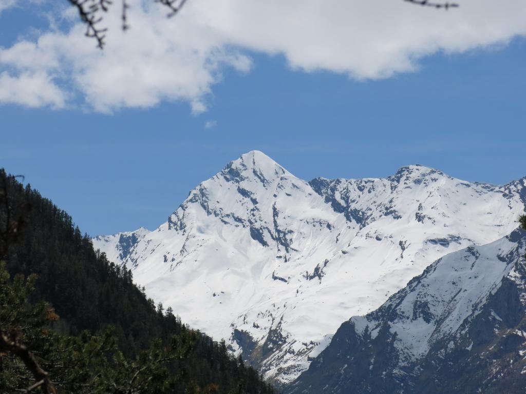 La Tersiva dal Bec Tolomon