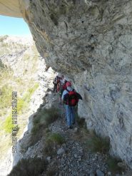 in fila indiana per forza