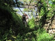 Sentiero dei Vigneti