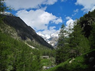 All'inizio del sentiero