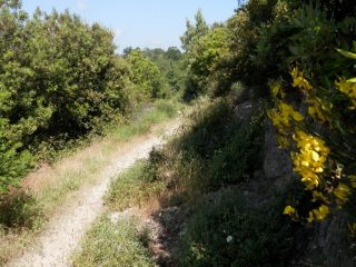 sentierino da soooogno