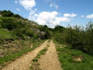 Deviazione sulla sterrata del versante nord della Rocca Crocetta