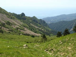 Vista verso il mare da Pian di Lerca