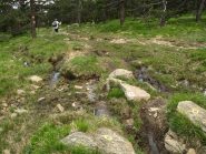 Tratto in discesa presso Bricco Damé: l'acqua non manca