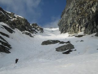 il Porco