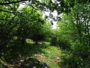 Lungo il sentiero verso la Ca du Fò