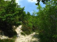 Bivio dove il sentiero si immette sulla strada