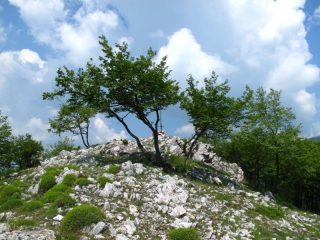 Sul pietroso Ravinet